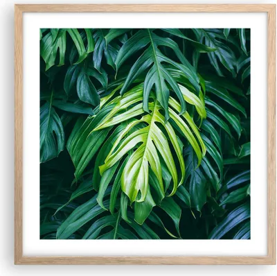Produktbild von Gerahmtes Poster - Rahmen in heller Eiche - Blume Natur - 50x50 cm - Wand Bild - Wanddeko - Wandbilder - Kunstposter - Wandposter - Bilderrahmen - Bilder - Kunstdruck - Wandbild - P2NAC50x50-3951