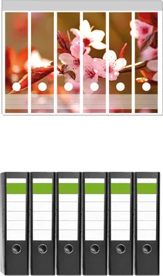 Produktbild von Wallario 6 Stück breite Ordner inkl. Klebeetiketten mit Motive Frühlingsgefühle II - Kirschblüten in Nahaufnahme -  Set mit Rückenschildern / Ordnerrücken Stickern