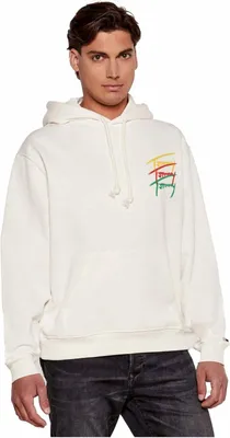 Produktbild von Tommy Hilfiger Hoodie für Herren