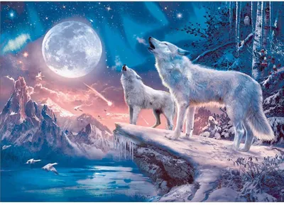 Obrázek produktu pro Diamond Art, Diamond Painting Pictures, Full Drill Arctic Wolf DIY 5D Crystal Set DIY Painting, 40 x 30 cm