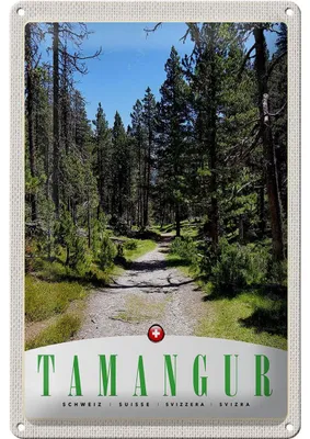 Produktbild von Blechschild Reise 20x30cm Tamangur Schweiz Natur Wald Bäume