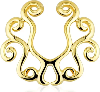 Produktbild von Fake Brustwarzenpiercing zum Klemmen: Schild Nippel-Piercing gold