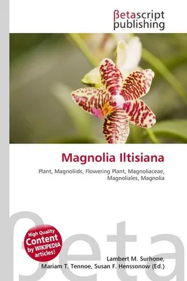 Produktbild von Magnolia Iltisiana