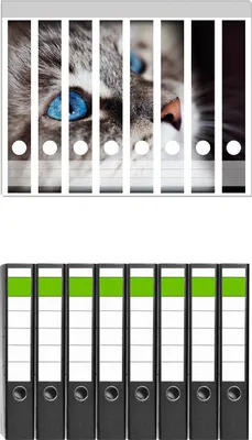 Produktbild von Wallario 8 Stück schmale Ordner inkl. Klebeetiketten mit Motive Katze mit strahlend blauen Augen -  Set mit Rückenschildern / Ordnerrücken Stickern