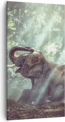 Produktbild von Bild auf Leinwand - Leinwandbild - Elefant Dschungel Stoßzahn - 55x100cm - Wand Bild - Wanddeko - Leinwanddruck - Bilder - Kunstdruck - Wanddekoration - Leinwand bilder - Wandkunst - PA55x100-3486
