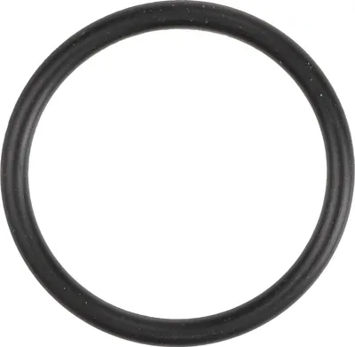 Produktbild von Dichtring Kühlmitteleinlassrohr K05066884AA