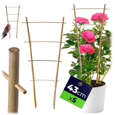Zdjęcie produktu dla KADAX Pergola Podpora Drabinka Bambusowa 43 cm 5 szt