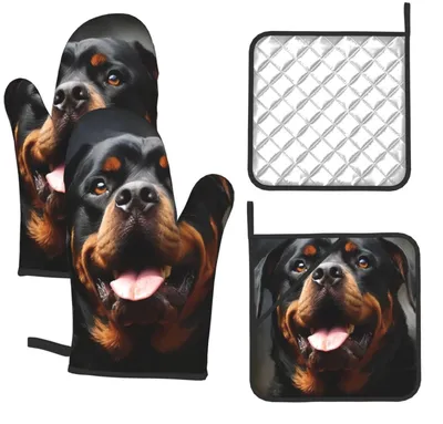 Image de Set de 4 gants de cuisine et maniques résistants à la chaleur