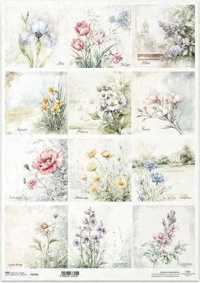 Produktbild von Reispapier Decoupage Bastelpapier für Decoupage A3 ITD R1416L ländliche Ansichten