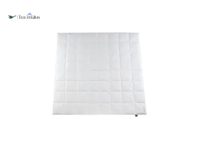 Produktbild von Häussling Traumulus Ganzjahresdecke Daunen KB 8x8 Karo, 200x220 cm, Deutsche Manufaktur, auch für Allergiker geeignet, Bezug 100% Baumwolle