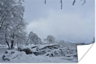 Produktbild von MuchoWow® Poster Eine Winterlandschaft in den Bergen der Ardennen 120x80 cm - Bilder