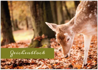 Produktbild von schöner DIN A3 Kinder Malblock Motiv "Wald Kitz"