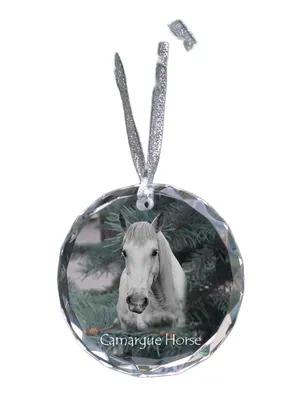 Obrázek produktu pro Kůň Camargue - křišťálová ozdoba s fotografií, fotografie koně v křišťálu, personalizovaná vánoční ozdoba značky Art-Dog