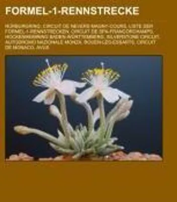 Produktbild von Formel-1-Rennstrecke