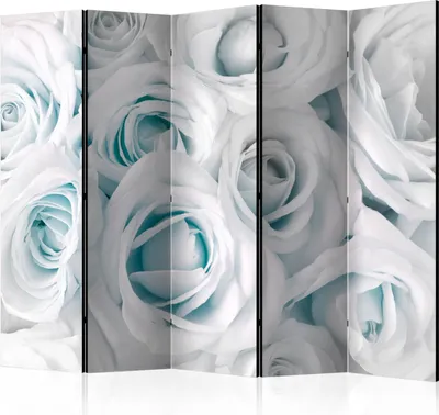 Image de Cloison acoustique Paravent photo fleurs 225 x 172 cm imprimé recto-verso sur toile intissé Cloison en mousse acoustique Paravent espagnol Brise-vue Bureau à domicile Nature Botanique Roses b-B-0406-z-c