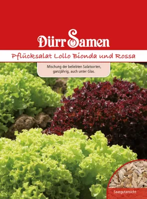 Produktbild von Dürr-Samen - Pflücksalat Lollo Mischung Bionda + Rossa - Saatgut - 1031