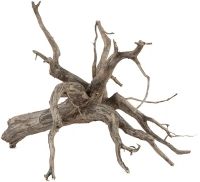Obrázok produktu pre sera Scaper Root M 30 - 35 cm