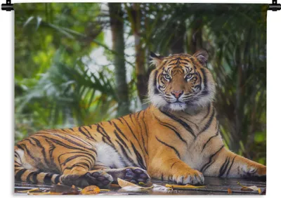 Produktbild von MuchoWow® Wandteppich Wandbehang Tiger - Tiere - Wald - Dschungel 150x112.50 cm Tapisserie Dekoration Wandtuch - Wanddecke - Wandteppiche