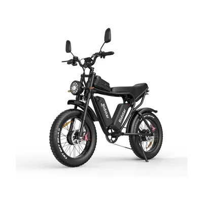 Imagen del producto de Ridstar Q20 Bicicleta Eléctrica - Doble Motor 750W*2 Batería Doble 48V20AH*2 Freno de Disco Hidráulico Ruedas de 20 Pulgadas - Negro