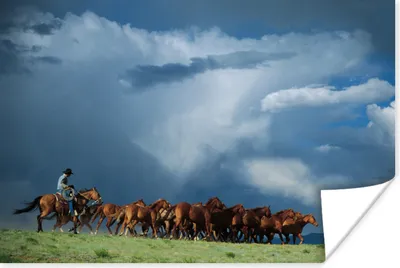 Produktbild von MuchoWow® Poster Pferde - Cowboy - Luft 30x20 cm - Plakate - Print