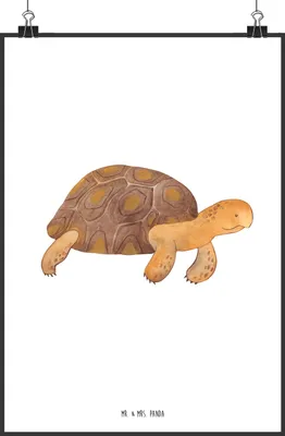 Produktbild von Mr. & Mrs. Panda Bild Schildkröte Marschieren DIN A2 - Weiß - Geschenk, drucke, Kunstdruck, Neustart, Wandbild, Inspiration, Meer, Abenteuer, Lieblingsmensch, wanddeko