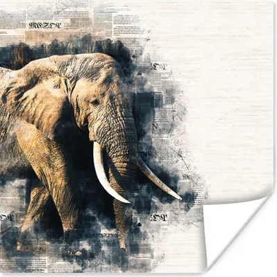 Produktbild von MuchoWow® Poster Elefant - Papier - Farbe 100x100 cm - Babyzimmer
