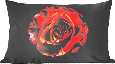 Produktbild von MuchoWow® Zierkissen Sofakissen Wohnzimmer Dekokissen 50x30 cm Blume - Rose - Rot - Schwarz - Wohnzimmerdekoration - Polster mit Photo