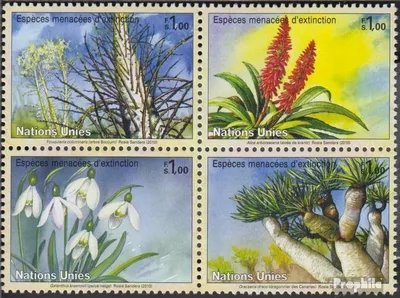 Produktbild von Briefmarken UNO - Genf 2010 Mi 681-684 Viererblock (kompl.Ausg.) postfrisch Pflanzen