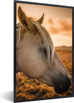 Produktbild von MuchoWow® Gerahmtes Poster Pferd - Tiere - Porträt 60x90 cm - Poster mit Schwarzem Bilderrahmen Wandposter Rahmen Foto Bilder - Kunst