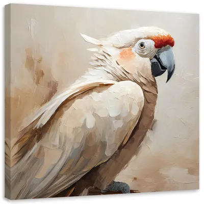 Produktbild von Leinwandbild Beigefarbener Papagei, handgemalt Vögel 50x50 Feeby Beige bild für die wand bereit zum aufhängen