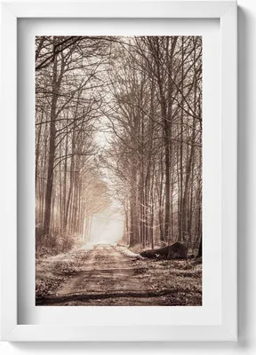 Produktbild von Waldweg in Sepia-Farben– Wandbild mit Rahmen – Gerahmtes Bild  – Wanddekoration – 20x30 cm – Weiß