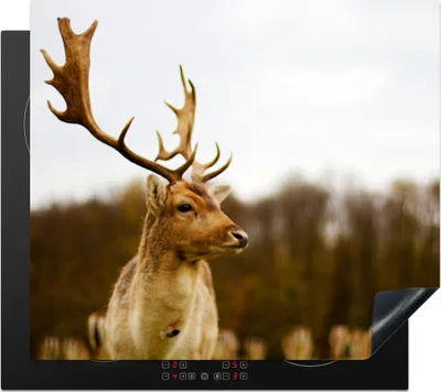 Produktbild von KitchenYeah© Herdabdeckplatte Damhirsch - Wald - Herde - Tiere - Natur , 59x51cm, Küche Deko, Glaskeramikkochfeld Herdabdeckung, Abdeckplatte fùr Kochfeld