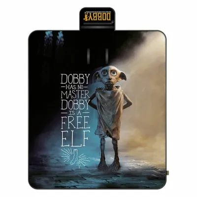 Image de Couverture de pique-nique Harry Potter Dobby