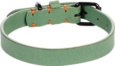Productafbeelding van Halsband voor honden LEANO groen S/M 31-39 cm 20 mm