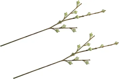 Produktbild von Rayher Dekozweig, 2 Stück, 40 cm