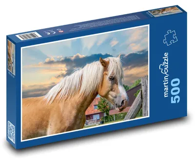 Obrázok produktu pre martinpuzzle - Puzzle 500 - Kôn