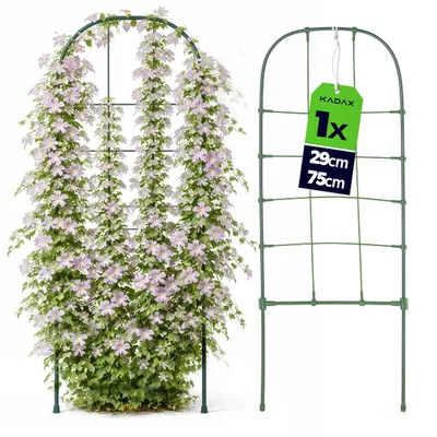 Produktbild von KADAX Rankgitter 29 x 75 cm, Rankhilfe für Kletterpflanzen wie Rosen & Clematis, Pflanzenstütze aus beschichtetem Metall, Blumengitter für Garten, Balkon & Terrasse