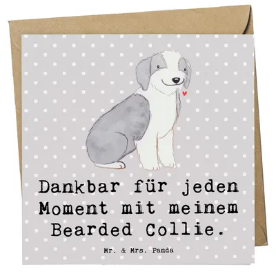 Produktbild von Mr. & Mrs. Panda Glückwunschkarte Bearded Collie Moment - Grau Pastell - Geschenk, doppelkarte, faltkarte, Britischer Hütehund, Klappkarte, anlasskarte, Grußkarte