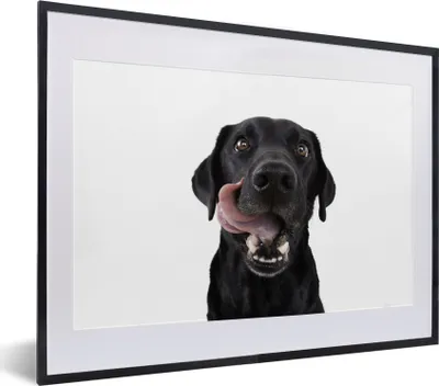 Produktbild von MuchoWow® MuchoWow® Gerahmtes Poster Hund - Schwarz - Lecken 40x30 cm - Poster mit zchwarzem Bilderrahmen - Bilderrahmen - Poster im Rahmen