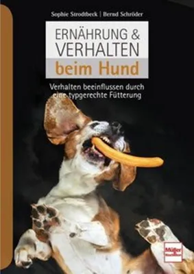 Image de Ernährung & Verhalten beim Hund