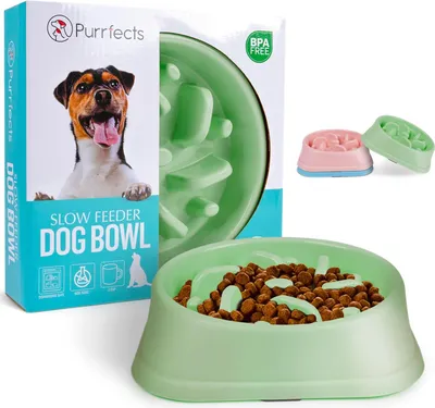 Produktbild von Langsamer Fressnapf für Hunde mintgrün Anti-Erstickung