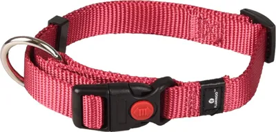 Produktbild von Flamingo Halsband Ziggi kirschrot, Größe: S
