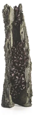 Obrázek produktu pro biOrb Bark L