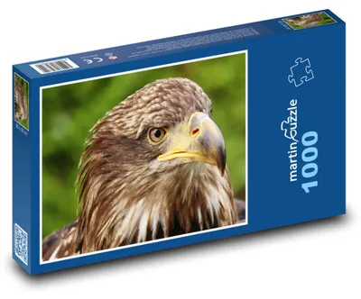 Zdjęcie produktu dla Puzzle 1000 Majestatyczna głowa orła - martinpuzzle