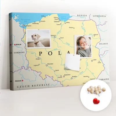 Immagine prodotto di Lavagna in sughero con puntine - Tabellone con puntine per foto e appunti - 60x40 cm - Spille di legno, 100 pezzi - Mappa politica della Polonia