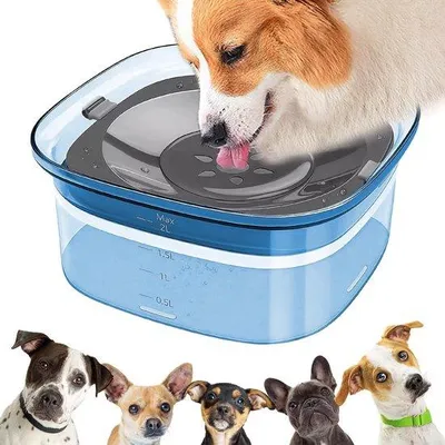 Productafbeelding van Lekvrije Drinkbak Hond en Kat 2 Liter Antislip