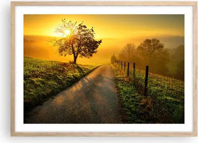 Produktbild von Gerahmtes Poster - Rahmen in heller Eiche - Feld Straße Baum - 70x50 cm - Wand Bild - Wanddeko - Wandbilder - Kunstposter - Wandposter - Bilderrahmen - Bilder - Kunstdruck - Wandbild - P2NAA70x50-3851
