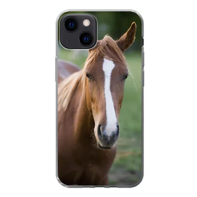 Produktbild von MuchoWow® Handyhülle Schutzhülle Hülle für iPhone 13 Pferd - Natur - Porträt Silikon Softcase Handy Hülle - Karteninhaber