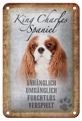 Produktbild von Blechschild Spruch 12x18cm King Charles Spaniel Hund