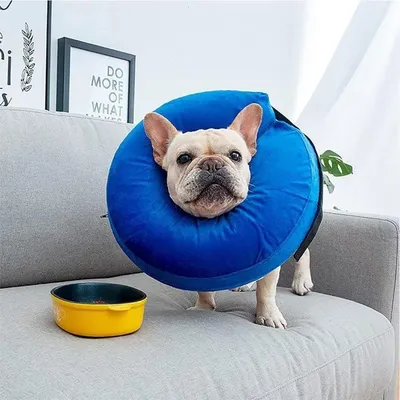 Produktbild von Aufblasbarer, kegelförmiger Halskragen für Hunde und Katzen, weicher und aufblasbarer Haustierkragen, E-Halskragen mit Schnalle